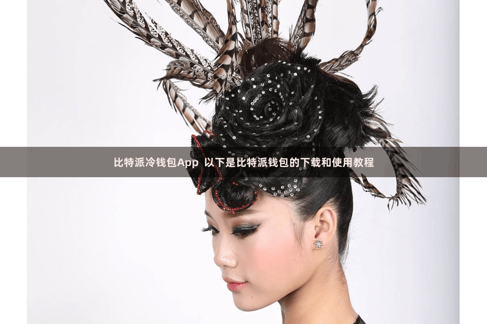 比特派冷钱包App  以下是比特派钱包的下载和使用教程