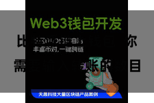 比特派链上钱包  你需要输入转账的数目