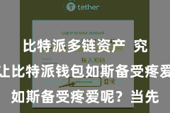 比特派多链资产 究竟是什么让比特派钱包如斯备受疼爱呢?当先
