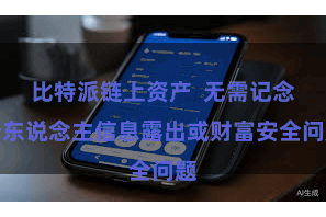 比特派链上资产  无需记念个东说念主信息露出或财富安全问题