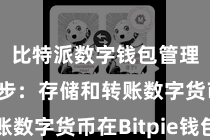 比特派数字钱包管理  第三步：存储和转账数字货币在Bitpie钱包中