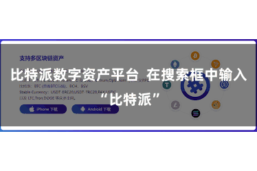 比特派数字资产平台  在搜索框中输入“比特派”