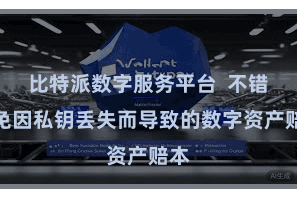 比特派数字服务平台  不错幸免因私钥丢失而导致的数字资产赔本